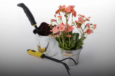 type of gardening supplies do you often purchase online