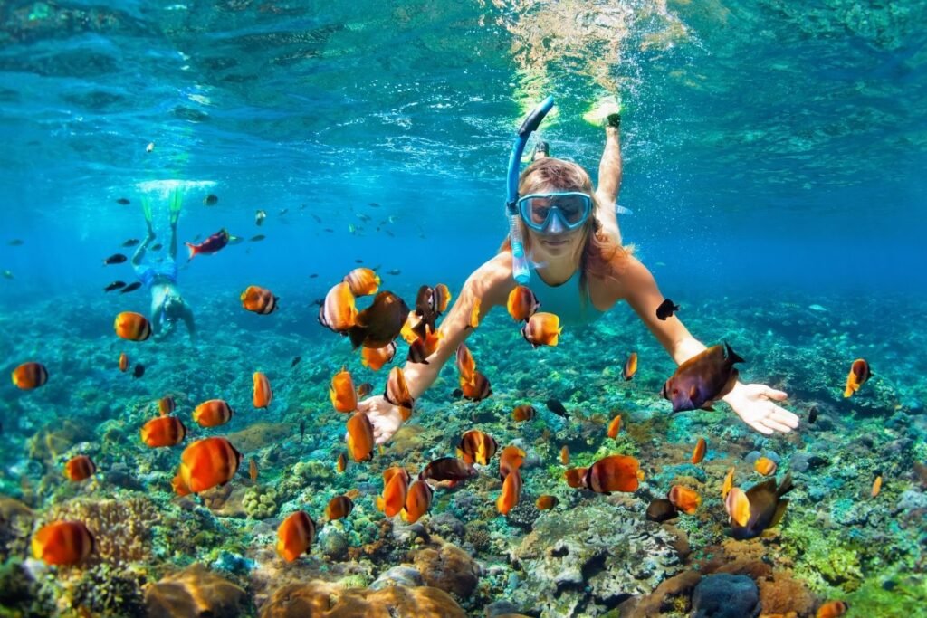 lakshadweep underwater image