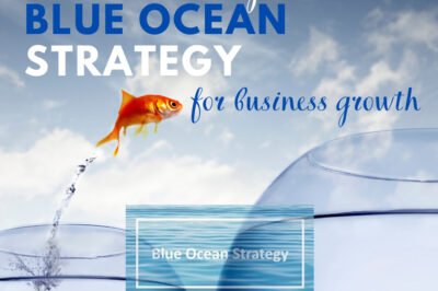 is the Blue Ocean Strategy the Future of Business Innovation?, what is blue ocean strategy?