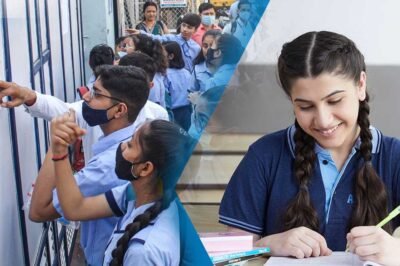 how to check cbse 2024 results