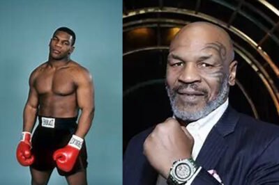 Mike Tyson: A New Chapter in His Legendary Career?