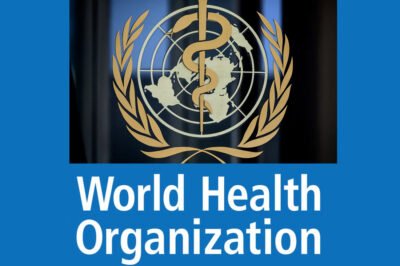 Is the WHO Meeting Its Mission? Evaluating Global Health Progress