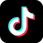 TikTok Delay Request